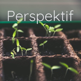 Perspektif