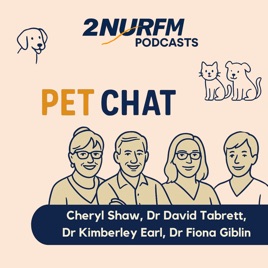 Pet Chat