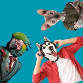 Petcast. Az állati podcast