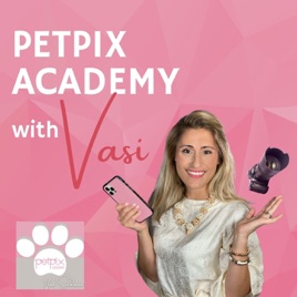 PETPIX ACADEMY with Vasi Siedman