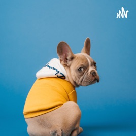 Pets as animals