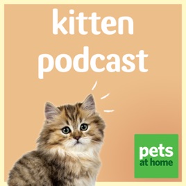 Pets at Home Kitten Podcast
