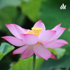 Phương Pháp Niệm Phật