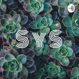 S y S