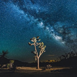 Photography Life by Joe Hendricks
