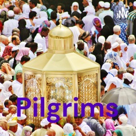 Pilgrims