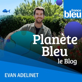 Planète Bleu, le blog