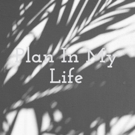Plan In My Life
