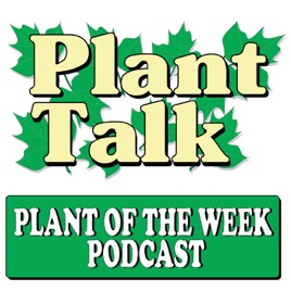 Plant Of The Week