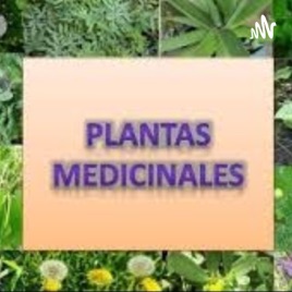 Plantas Medicinales