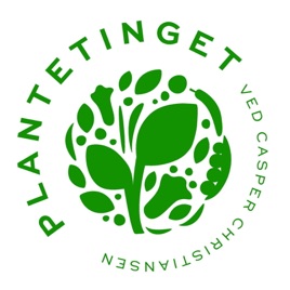 Plantetinget