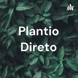 Plantio Direto