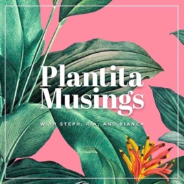 Plantita Musings