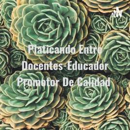 Platicando Entre Docentes-Educador Promotor De Calidad