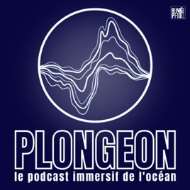 Plongeon