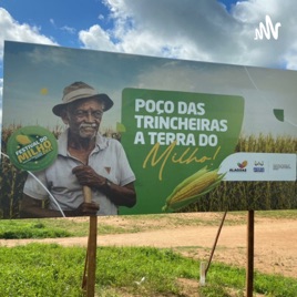 Poço Das Trincheiras A Terra Do Milho