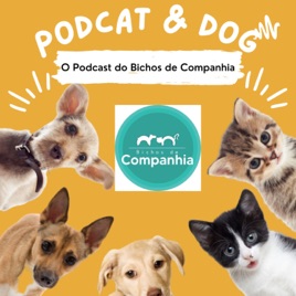 Pod Cat & Dog