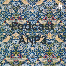 Podcast ANP3