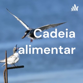 Cadeia alimentar