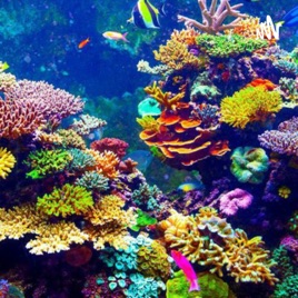 Podcast De Biologia