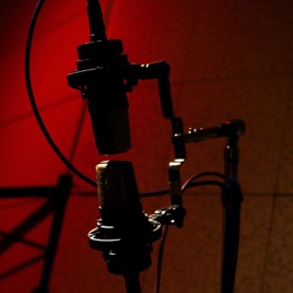 Podcast deiner Wahl