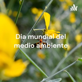 PODCAST ECOGALANISTA