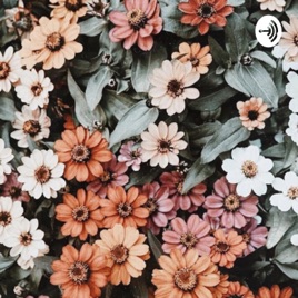 Podcast