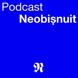 Podcast Neobisnuit - cu Sam Bejinar