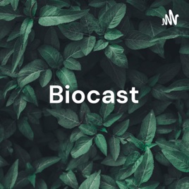 Biocast - O desmatamento