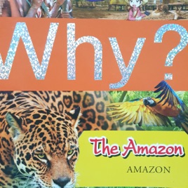 Podcast-The Amazon-Jaden5B-Kinderfield Depok
