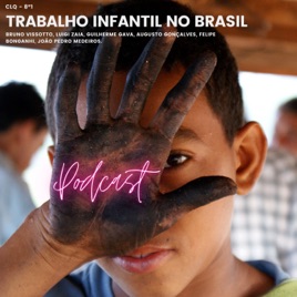 Trabalho Infantil no Brasil - 8º1