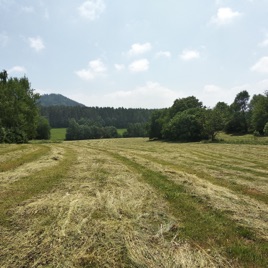 Podještědská stezka