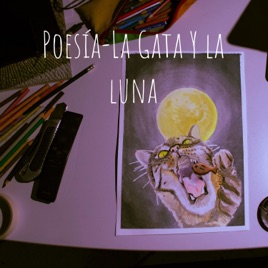 Poesía-La Gata Y la luna