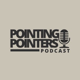 Pointing Pointers