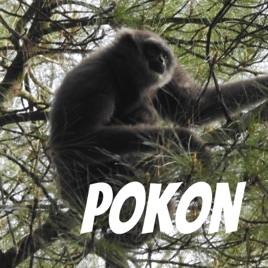 PoKon