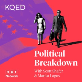 Political Breakdown
