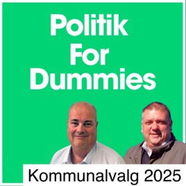 Politik for Dummies