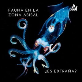 ¿Por qué consideramos tan extraños a los organismos que habitan en la zona abisal de los océanos?