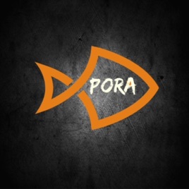 PorA
