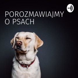 Porozmawiajmy o Psach