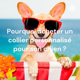 Pourquoi acheter un collier personnalisé pour son chien ?