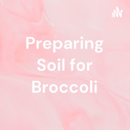Preparing Soil for Broccoli