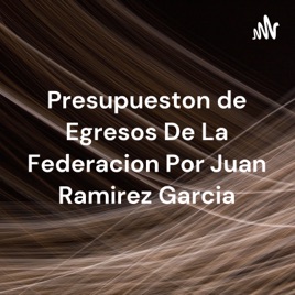 Presupueston de Egresos De La Federacion Por Juan Ramirez Garcia