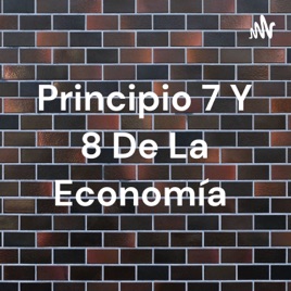 Principio 7 Y 8 De La Economía