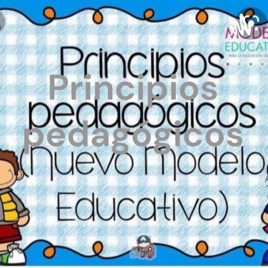 Principios pedagógicos ✨