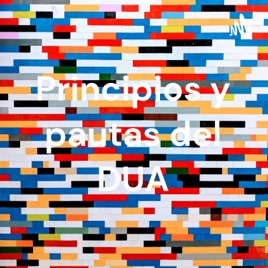 Principios y pautas del DUA
