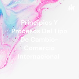 Principios Y Procesos Del Tipo De Cambio- Comercio Internacional