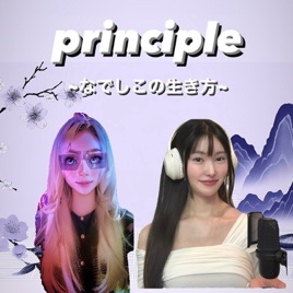 Principle