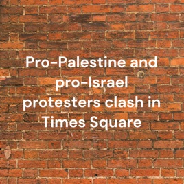 Pro-Palestine and pro-Israel protesters clash in Times Square