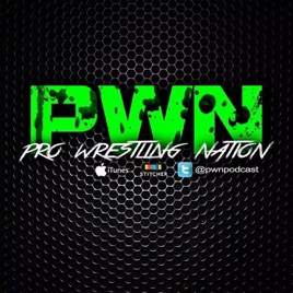 Pro Wrestling Nation